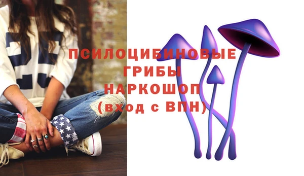 стафф Кущёвская
