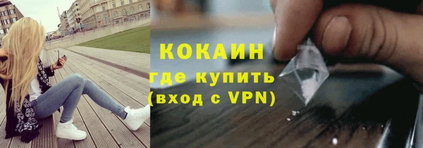 PSILOCYBIN Александровское
