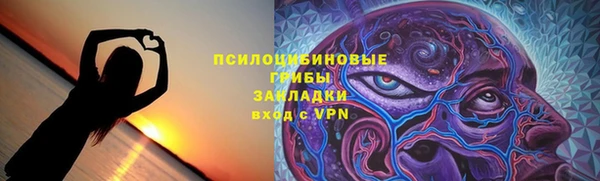 PSILOCYBIN Александровское