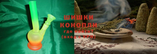 PSILOCYBIN Александровское