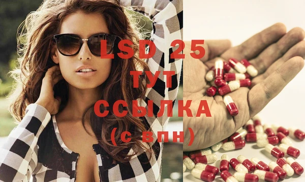 стафф Кущёвская