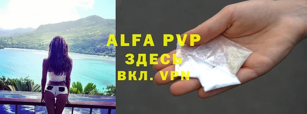 PSILOCYBIN Александровское