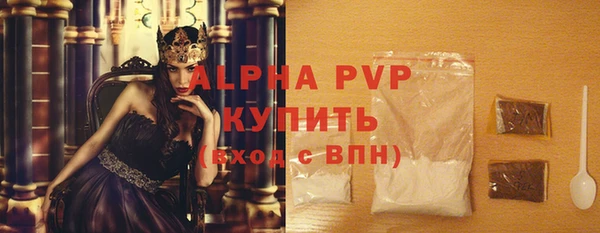стафф Кущёвская