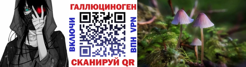 Галлюциногенные грибы мухоморы купить наркотики цена Валдай